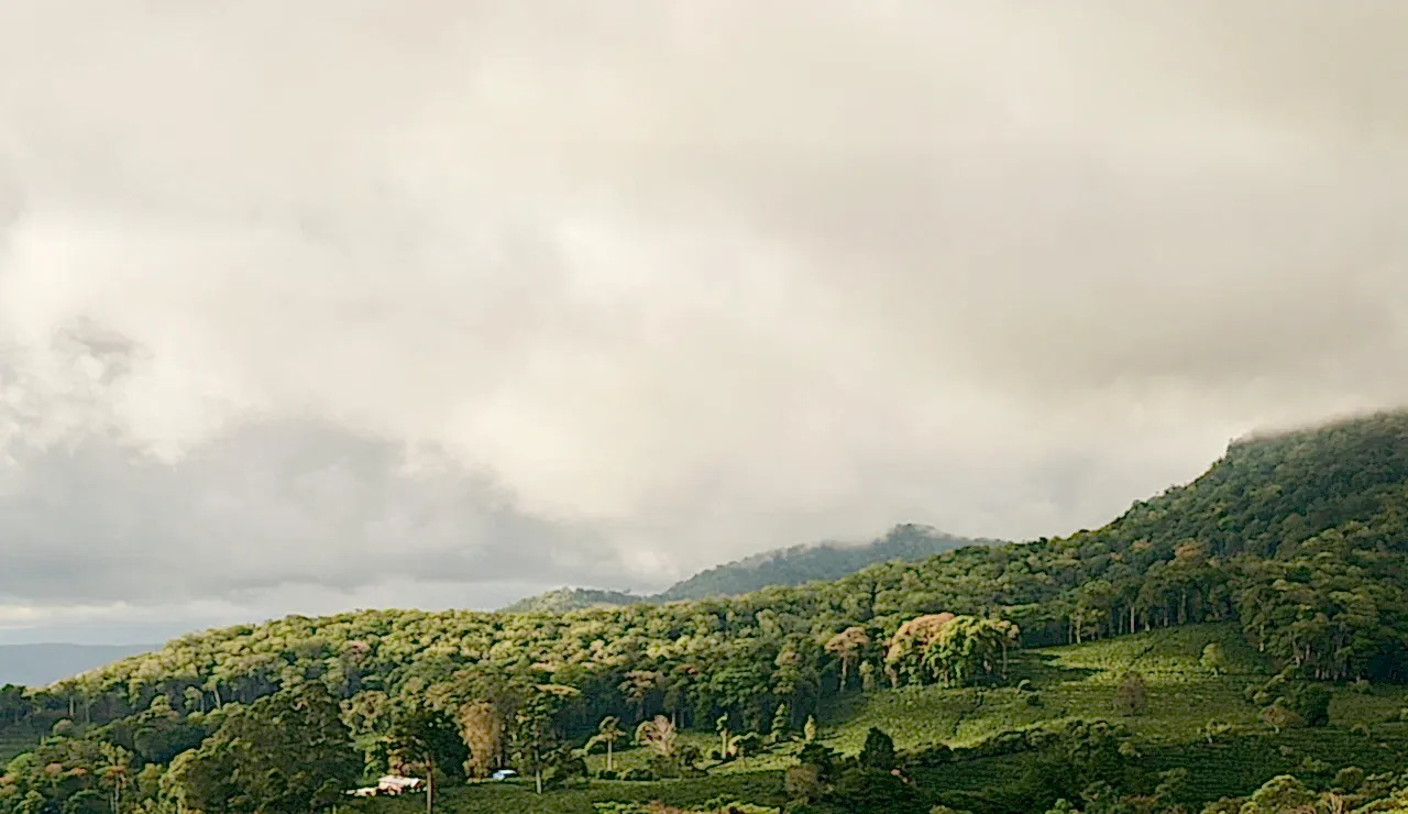 Lush green hills under a cloudy sky